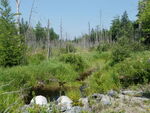 Multiple Culvert Crossing, Waltham, Maine