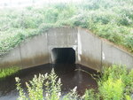 Culvert Crossing, Crippens Brook, Trenton, Maine