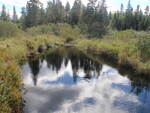 Culvert Crossing, Indian River, Columbia Falls, Maine