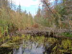 Culvert Crossing, Aurora, Maine