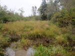 Culvert Crossing, Mill Creek, Addison, Maine