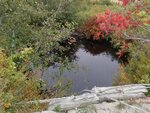 Culvert Crossing, Shepardson Brook, Brooksville, Maine