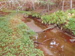 Culvert Crossing, Brooklin, Maine