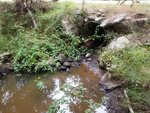 Culvert Crossing, Brooksville, Maine