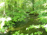 Culvert Crossing, Dedham, Maine