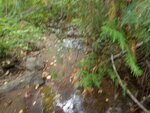 Multiple Culvert Crossing, Mill Pond St, Sedgwick, Maine