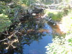 Culvert Crossing, Winter Harbor, Maine