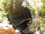 Culvert Crossing, Winter Harbor, Maine