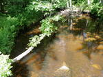 Culvert Crossing, Gott Brook, Ellsworth, Maine