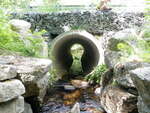 Culvert Crossing, Gott Brook, Ellsworth, Maine