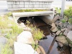 Culvert Crossing, Winter Harbor, Maine