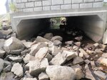 Culvert Crossing, Winter Harbor, Maine
