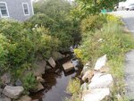 Culvert Crossing, Winter Harbor, Maine