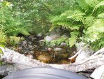 Culvert Crossing, Steuben, Maine