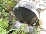 Culvert Crossing, Steuben, Maine
