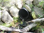 Culvert Crossing, Steuben, Maine