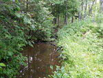 Culvert Crossing, Surry, Maine