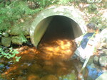 Culvert Crossing, Honeymoon Brook, Day Block Twp, Maine