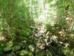 Culvert Crossing, Honeymoon Brook, Day Block Twp, Maine
