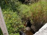 Culvert Crossing, Milbridge, Maine