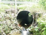 Culvert Crossing, Dedham, Maine