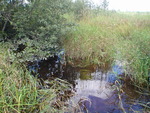 Multiple Culvert Crossing, Cherryfield, Maine