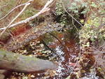 Culvert Crossing, Freethy Brook, Brooklin, Maine