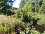 Culvert Crossing, Gouldsboro, Maine