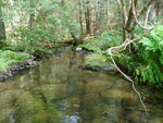 Culvert Crossing, Schoolhouse Brook, Otis, Maine