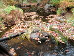 Culvert Crossing, Snow Brook, Sedgwick, Maine