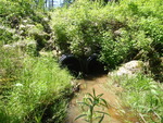 Multiple Culvert Crossing, Harrington, Maine