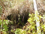 Culvert Crossing, Cherryfield, Maine
