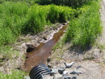 Culvert Crossing, Cherryfield, Maine