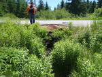 Culvert Crossing, Harrington, Maine