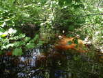 Culvert Crossing, Cherryfield, Maine