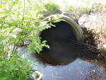 Culvert Crossing, Shorey Brook, Devereaux Twp, Maine