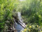 Culvert Crossing, Shorey Brook, Devereaux Twp, Maine