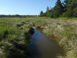 Culvert Crossing, Harrington, Maine