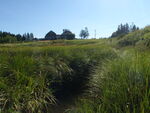 Culvert Crossing, Harrington, Maine