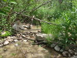Multiple Culvert Crossing, Harrington, Maine