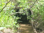 Multiple Culvert Crossing, Harrington, Maine
