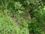 Multiple Culvert Crossing, Harrington, Maine