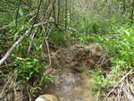 Multiple Culvert Crossing, Harrington, Maine