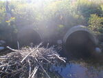 Multiple Culvert Crossing, Little Pembroke Brook, Day Block Twp, Maine