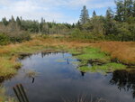 Culvert Crossing, Addison, Maine