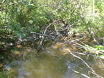 Culvert Crossing, Milbridge, Maine