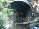 Culvert Crossing, Milbridge, Maine