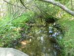Culvert Crossing, Orland, Maine