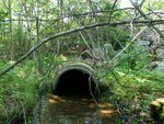 Culvert Crossing, Orland, Maine