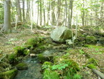 Culvert Crossing, Orland, Maine